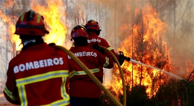 2 de Julho: Dia do Bombeiro Brasileiro