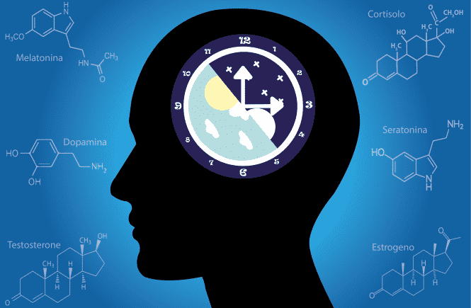 Como comer tarde ou dormir pouco pode afetar sua saúde