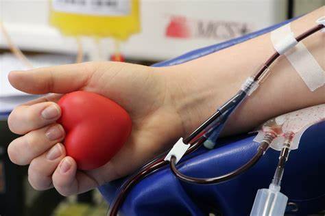 Entenda o porquê de brasileiros não serem autorizados a doar sangue em outros países