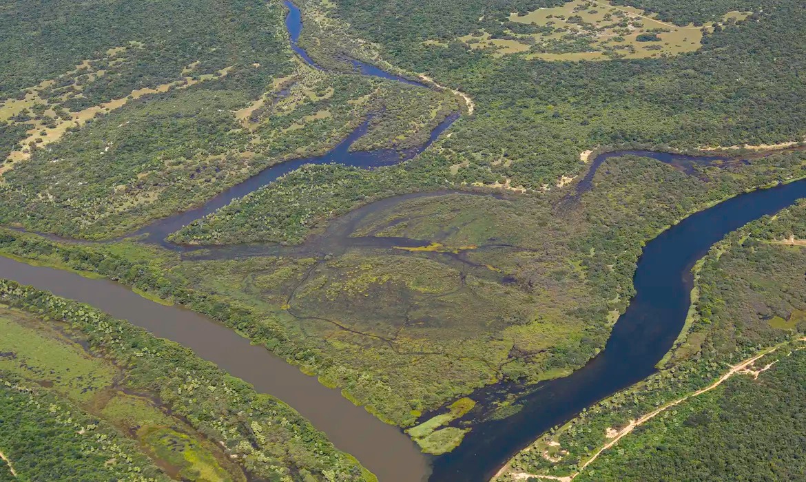 Maior parte da Mata Atlântica tem menos de 30% de vegetação nativa