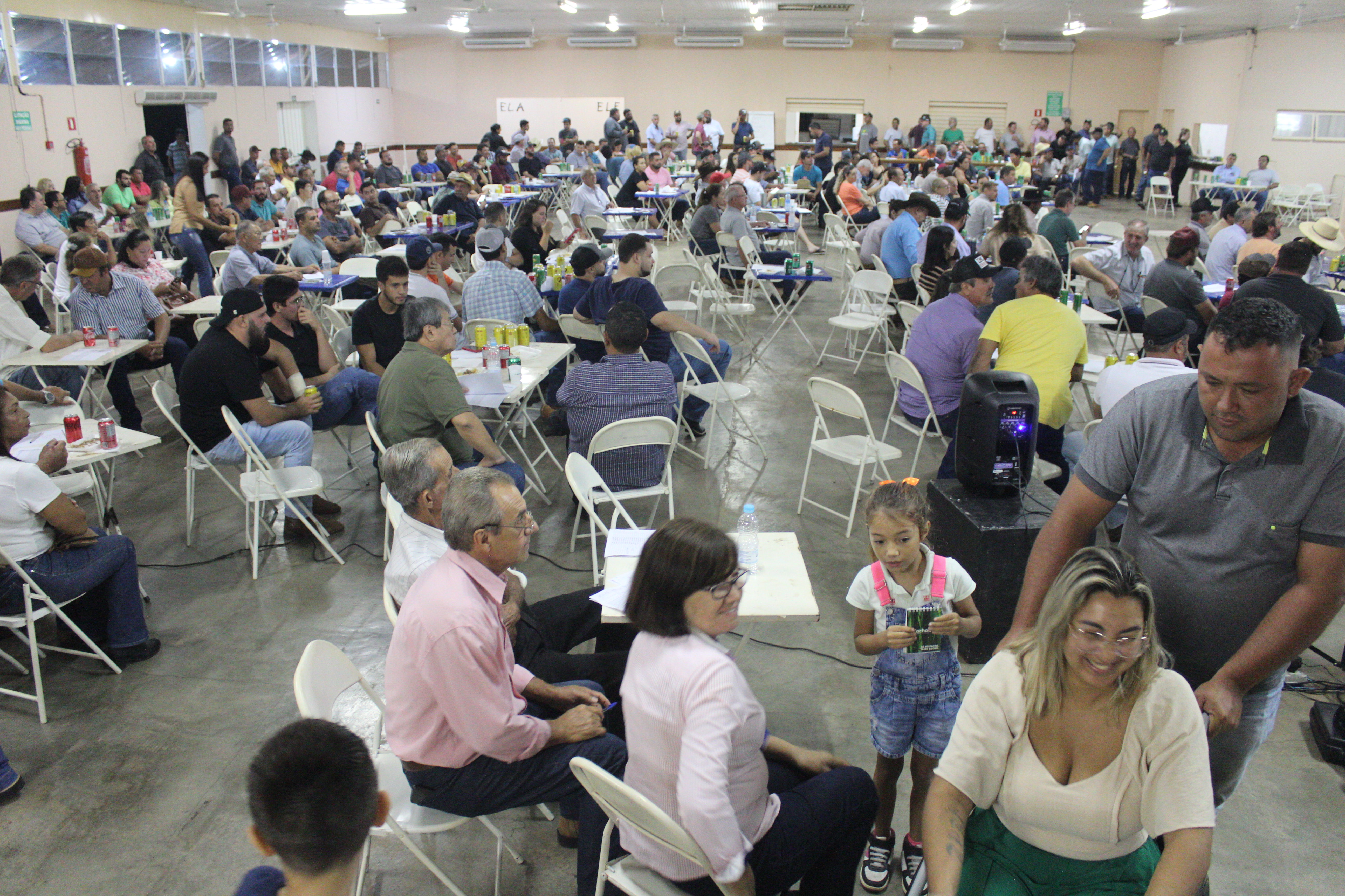 Leilão de Gado do Sindicato Rural de Guaraçaí é sucesso de vendas e de público