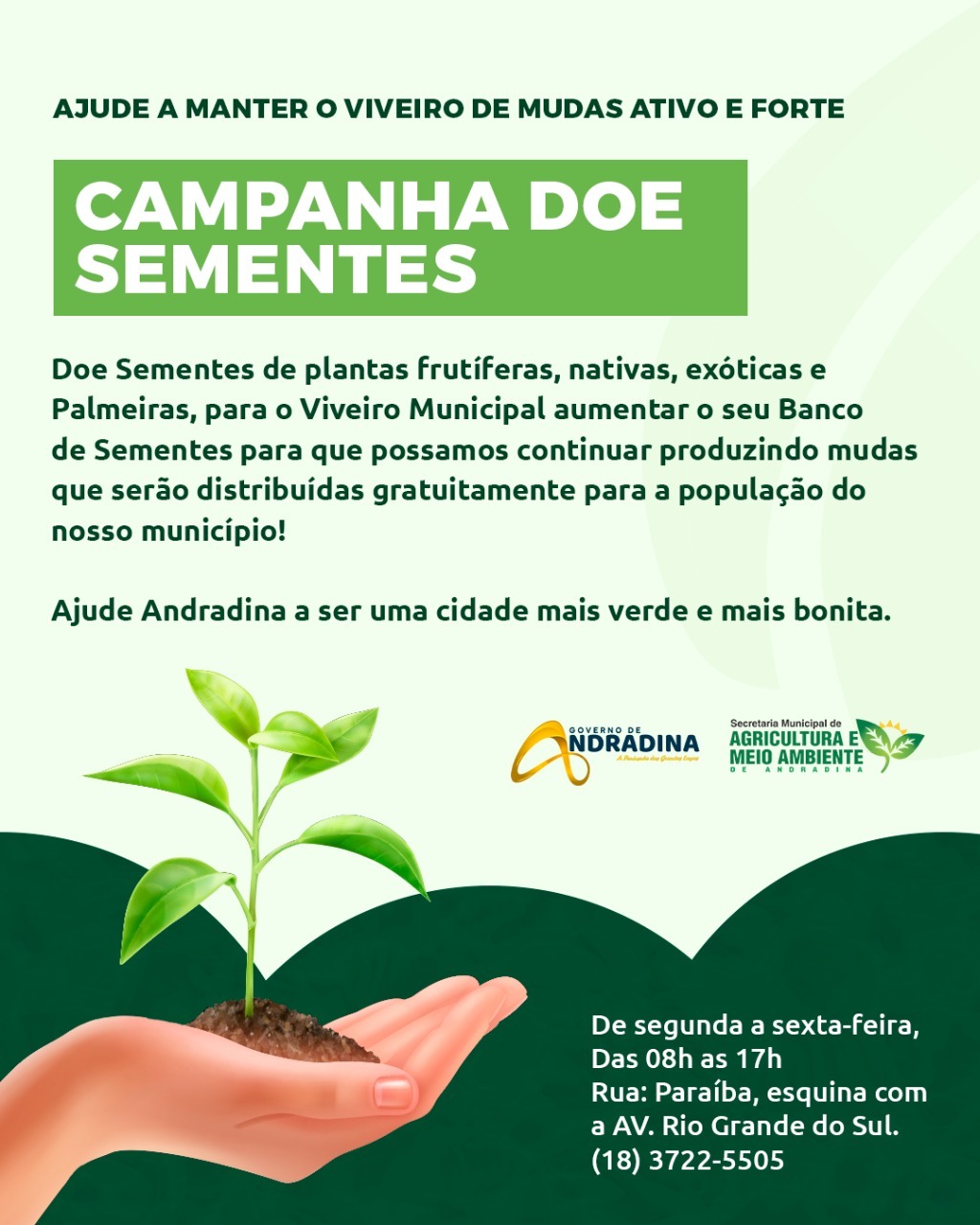 Doações de mudas durante a Semana do Meio Ambiente