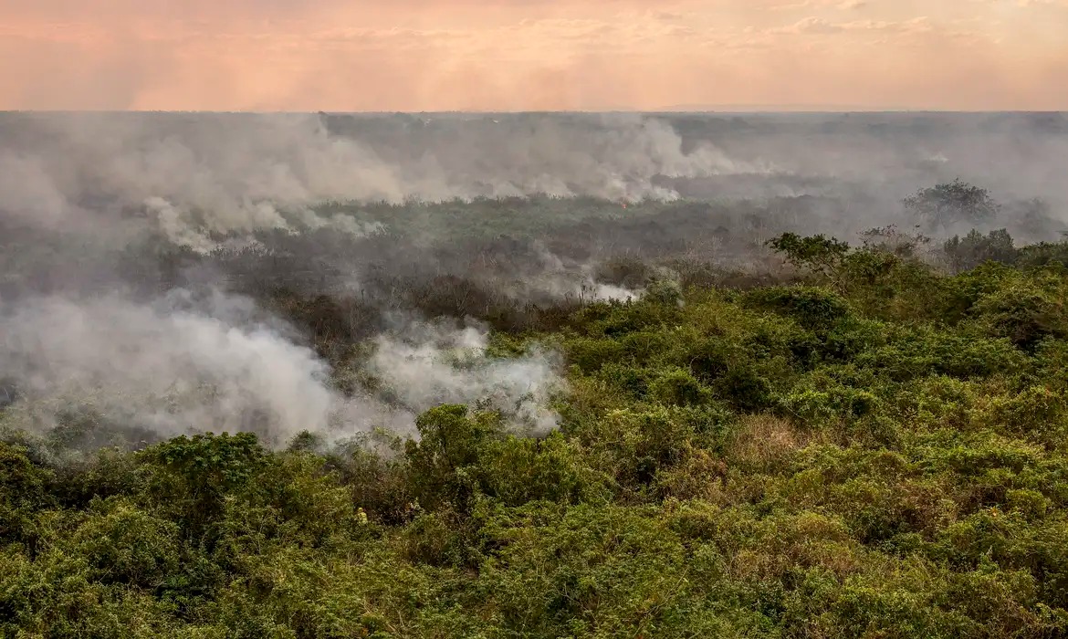 Pantanal poderá ter crise hídrica histórica em 2024, aponta estudo