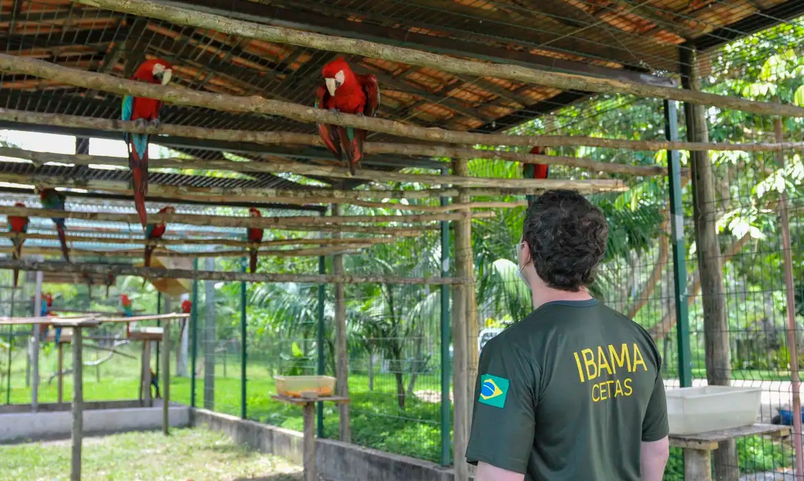 Servidores do meio ambiente decidem entrar em greve no dia 24