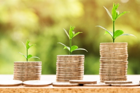 CNA avalia custos de produção de café, leite e cana