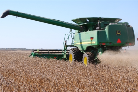 Safra de grãos cresce 0,6% apesar de queda na produtividade