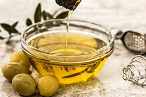 Safra de oliva pode ser recorde no Rio Grande do Sul