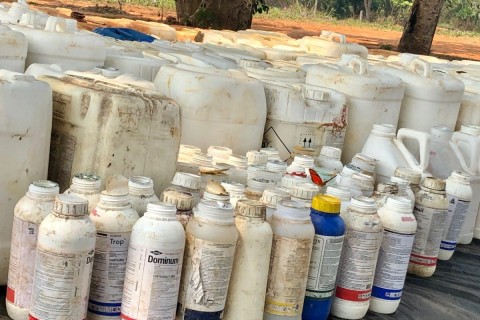 Campanha tirou 8650 embalagens de agrotóxicos de circulação
