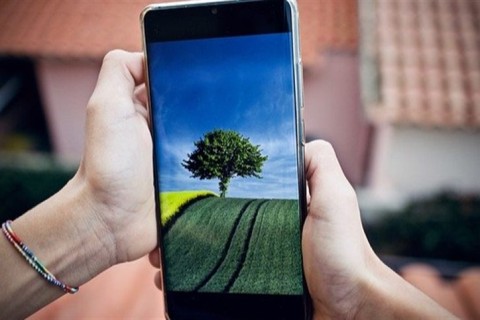 Agro amplia uso de IA para elevar eficiência