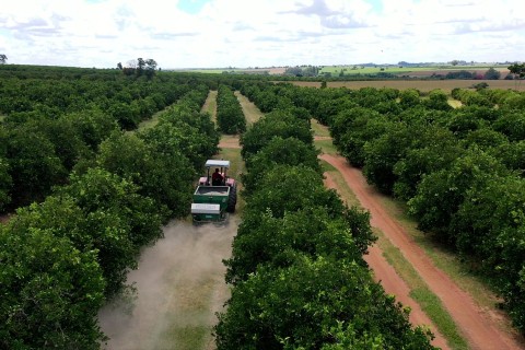 ‘Solo + Fértil’ aumenta a produtividade agrícola em municípios paulistas
