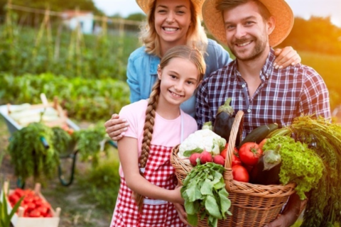 Compras públicas impulsionam agricultura familiar São Paulo