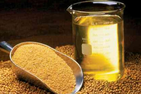 Demanda por biodiesel impulsiona óleo de soja