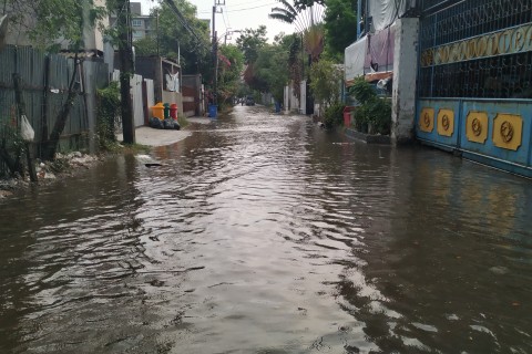 SP reforça orientações para prevenção da leptospirose no período de chuvas