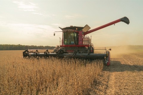 Com colheita acelerada e demanda fraca, soja desvaloriza no Brasil