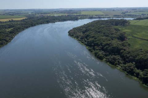 Ondas ultrassônicas vão ajudar a conter avanço das algas no Tietê