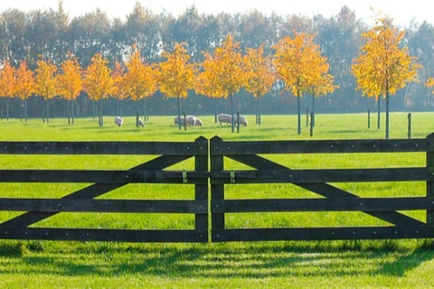 Produtores pedem crédito por falha no seguro rural