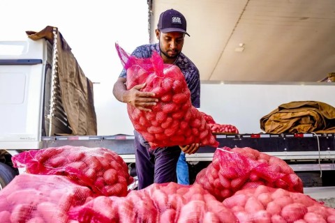 Conab aponta queda de preço da batata e alta da cebola e tomate