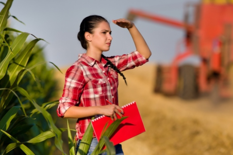 Produtoras paulistas conquistam espaço no campo