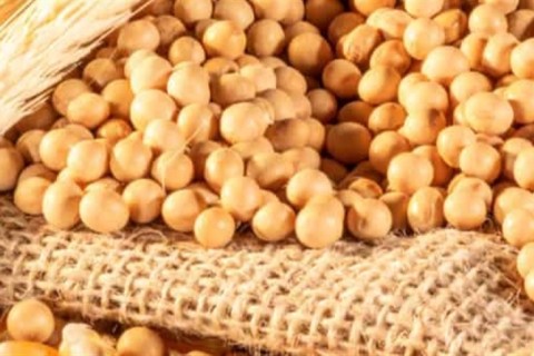 Safra de grãos 2025/26 deve atingir 353,4 milhões de toneladas