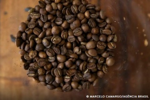 Tarifaço pode impactar vendas de suco de laranja, café, carne e frutas