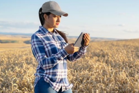 São Paulo lança crédito rural exclusivo para mulheres