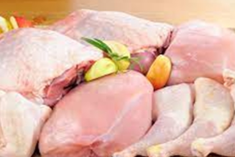 Sete países voltam a importar carne de frango brasileira após foco de Influenza Aviária