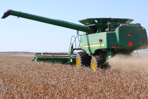 Produtores antecipam vendas de soja diante de safra recorde